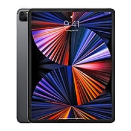 iPad Pro 12.9 (5th Gen)