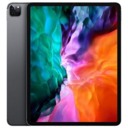 iPad Pro 12.9 (4th Gen)