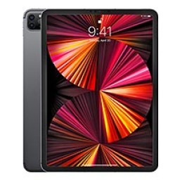 iPad Pro 11 (3nd Gen)
